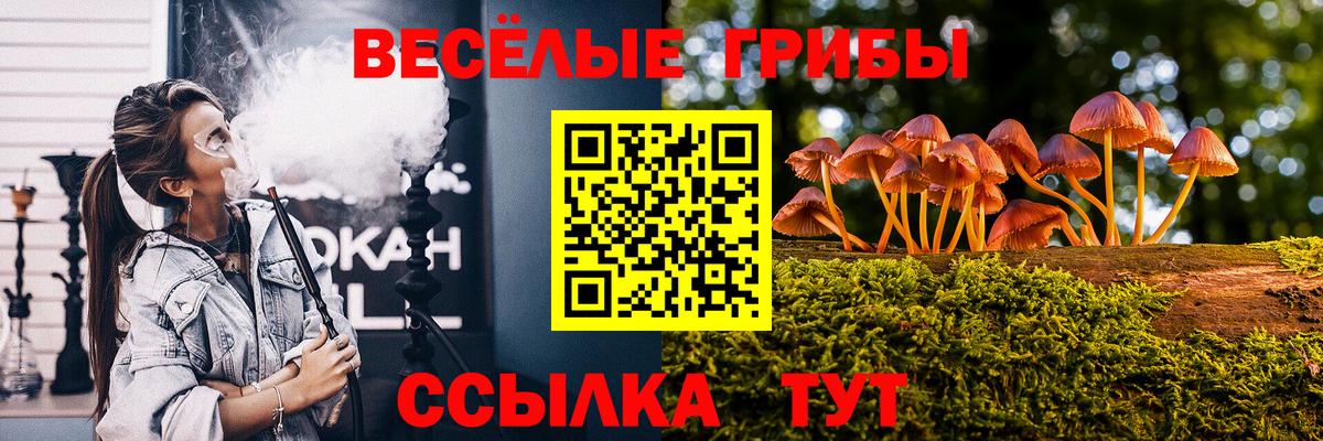Галлюциногенные грибы ЛСД Дивногорск