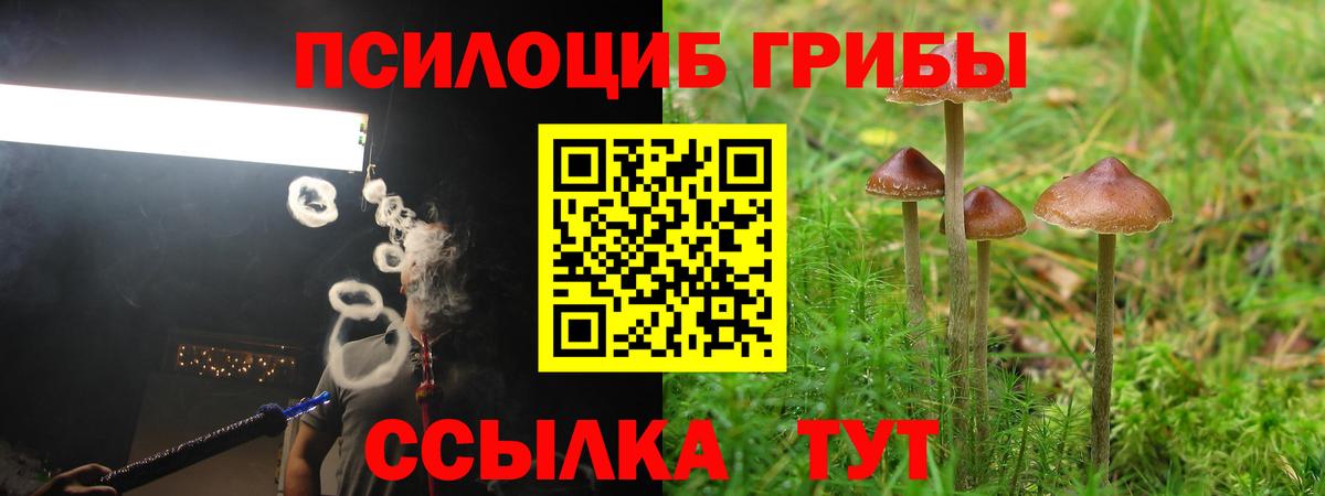 Галлюциногенные грибы ЛСД  Вход с VPN  Псилоцибиновые грибы ЛСД  Дивногорск 